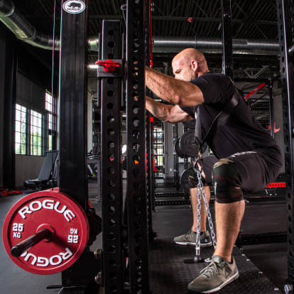 Rogue Monster Rhino Belt Squat - Drop-In | Rogue Fitness ES